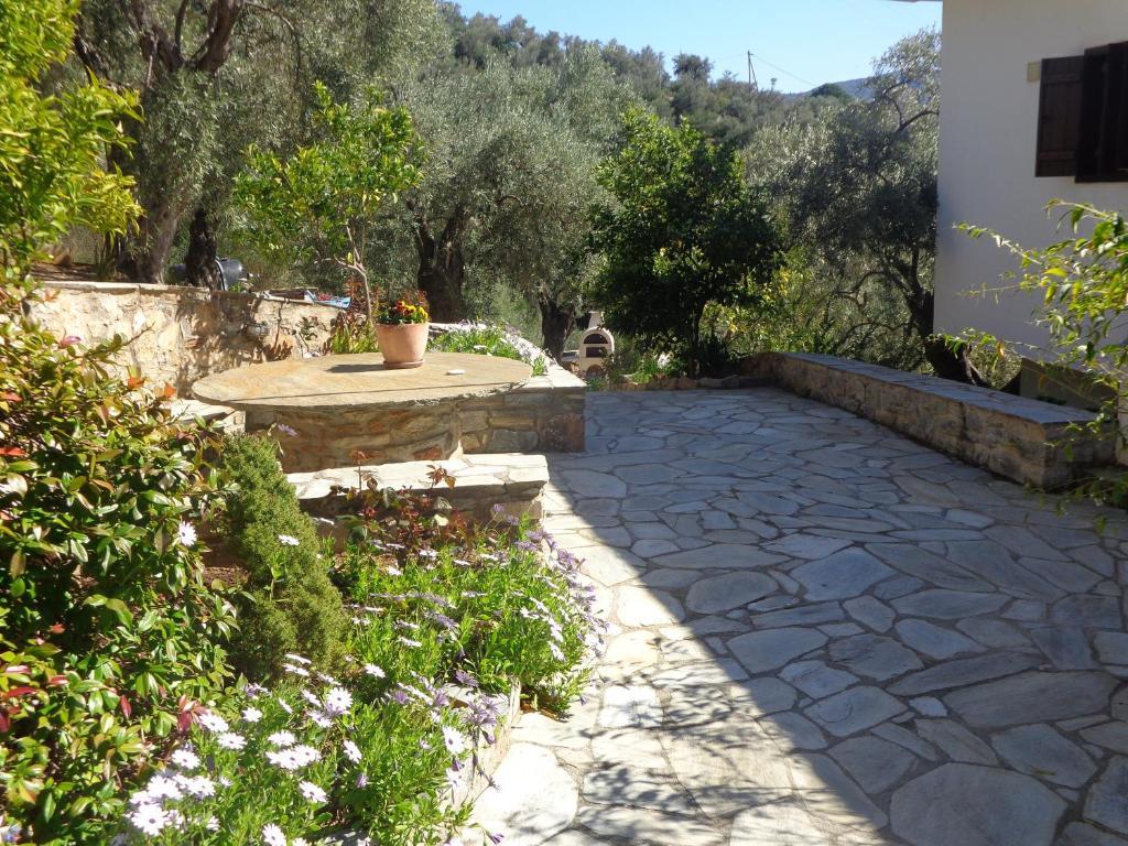 Sea Front Appartement
