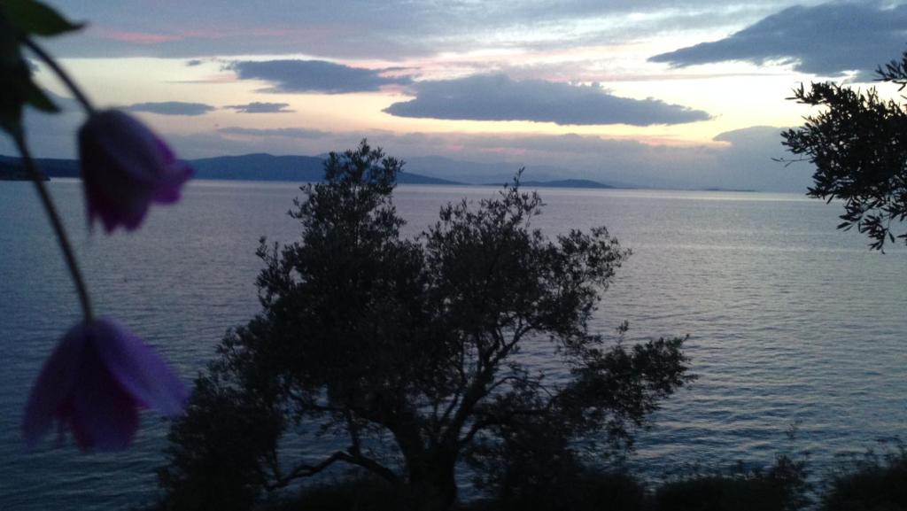 Appartement Sea Front *