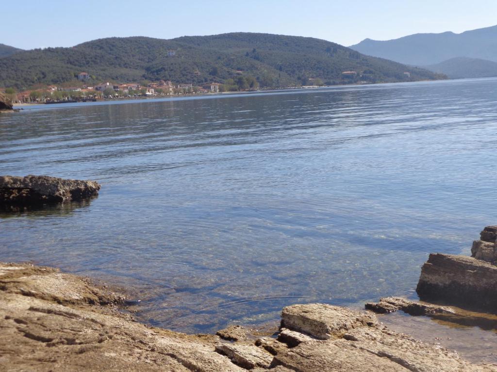 Sea Front *